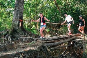 BIB: 
                            <button type="button" onclick="openModal(27550536)" class="btn btn-primary btn-sm float-right btn-popup" data-toggle="modal" data-target=".modal-high-quality">
                        <i class="fas fa-shopping-cart"></i> Add to Cart
                    </button>
                                            <button type="button" onclick="isThisMe(27550536, true)" class="btn btn-success btn-sm float-right btn-popup btn-isme hidden" data-toggle="tooltip" data-placement="bottom" title="นี่คือรูปของคุณใช่ไหม คลิกที่นี่เพื่อเอาเข้าอัลบั้ม">
                        <i class="fas fa-plus"></i> Add to album
                    </button>
                    <button type="button" onclick="isThisMe(27550536, false)" class="btn btn-warning btn-sm float-right btn-popup btn-isnotme hidden">
                        <i class="fas fa-ban"></i> Remove from album
                    </button>